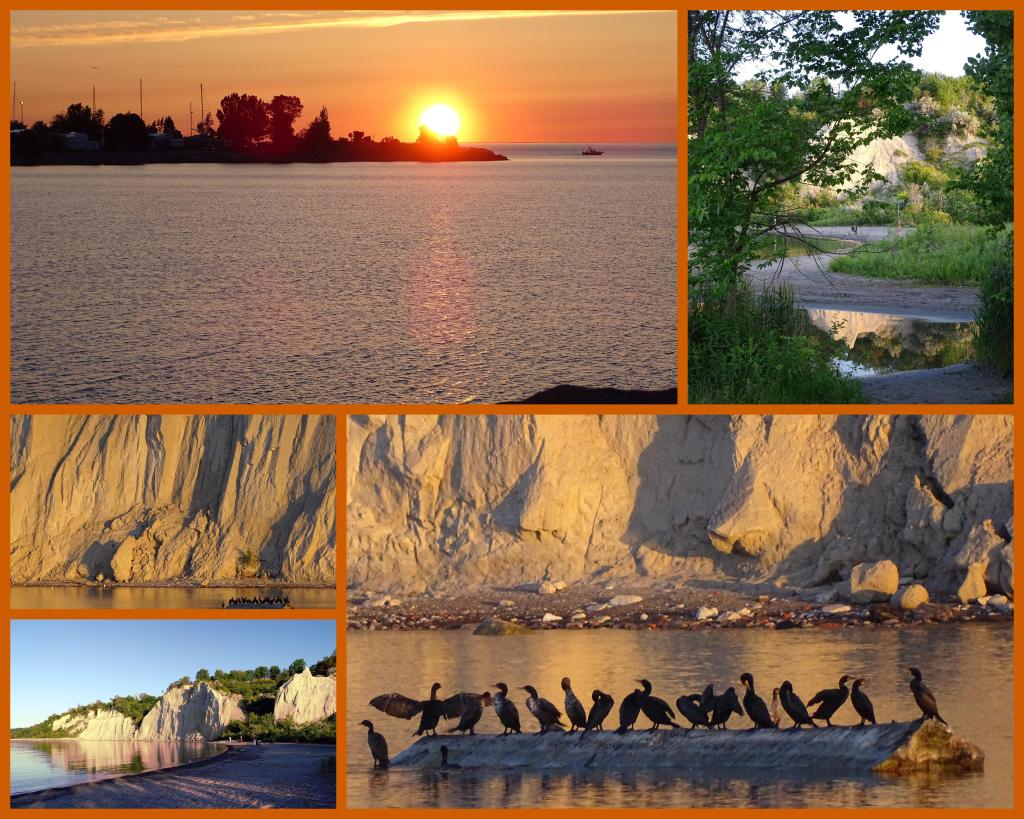 The Gold 19 June&nbsp;2022